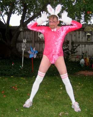 a bright pink leotard bunny costume with furry gloves Picture