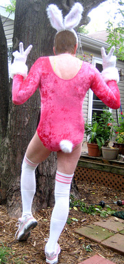 pink rabbit costume with a fluffy furry tail pinned to a leotard Picture